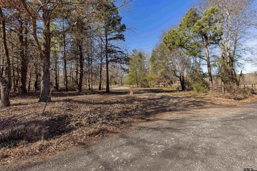 1884 SE CR 4350, Scroggins, TX 75480 - #3