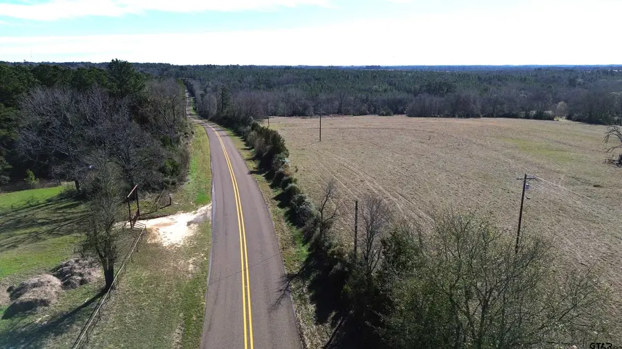 TBD Fm 1272, Grapeland, TX 75844 - #3