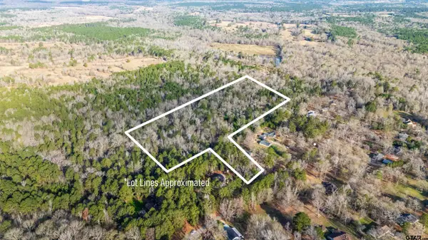TBD Neches Trace (15.951 Acres including lot 14), Palestine, TX 75803