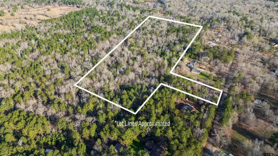 TBD Neches Trace (15.951 Acres including lot 14), Palestine, TX 75803 - #2