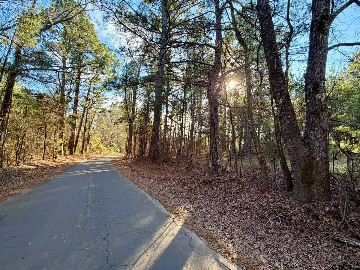 0 Brad Spann Rd, Marshall, TX 75672 - #1