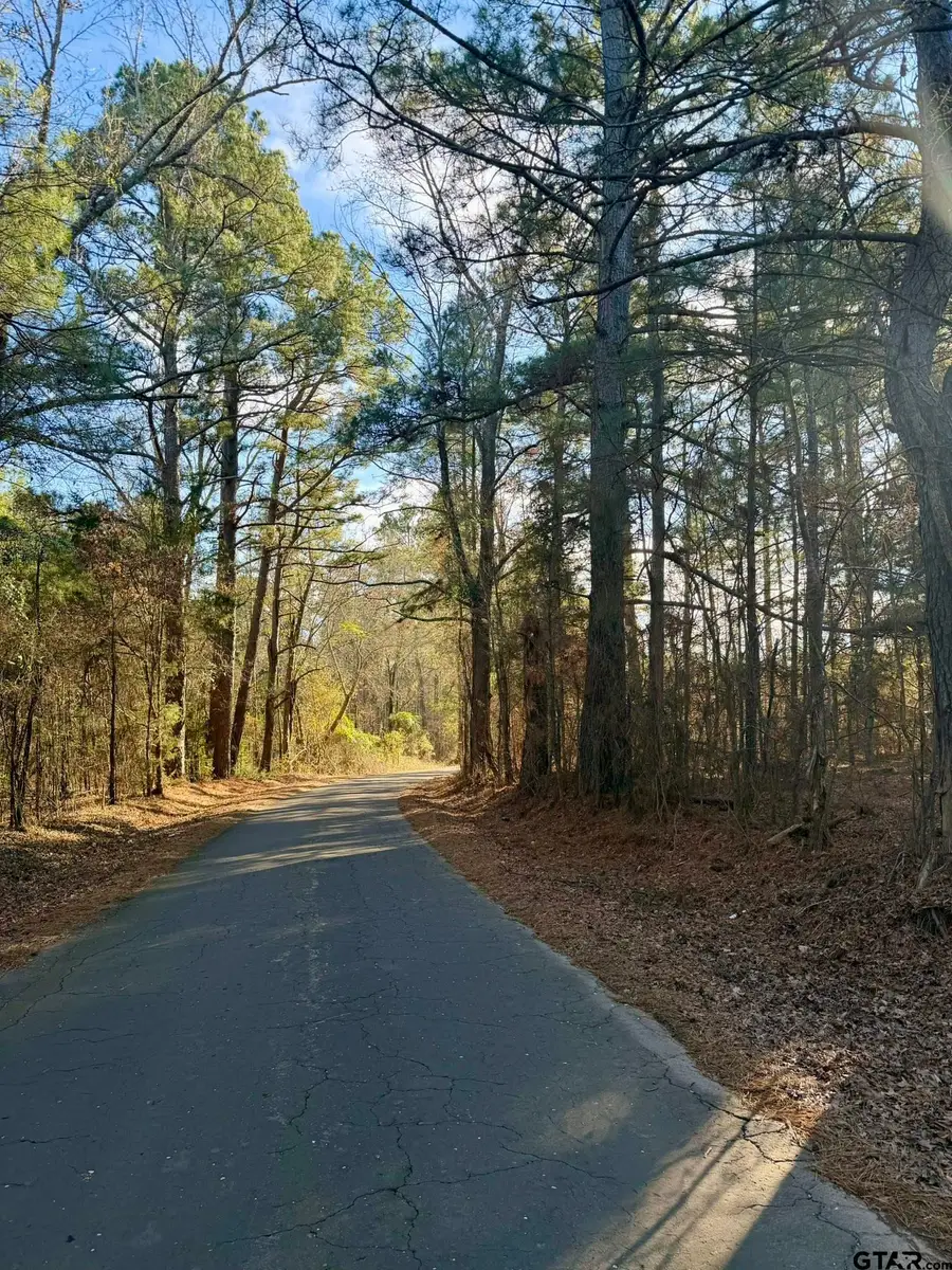0 Brad Spann Rd, Marshall, TX 75672 - #3