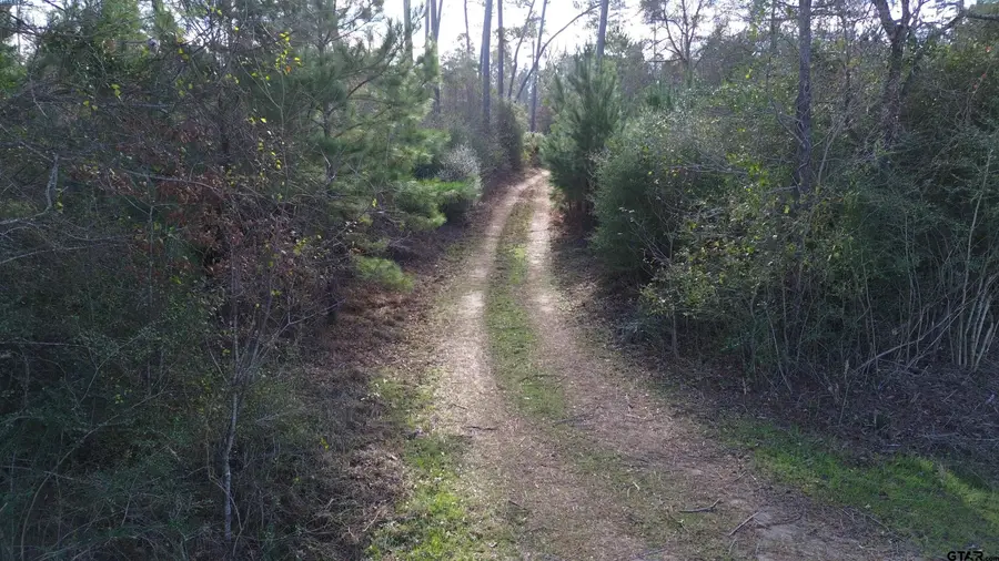 1502 FM 1309, Lovelady, TX 75851 - #3