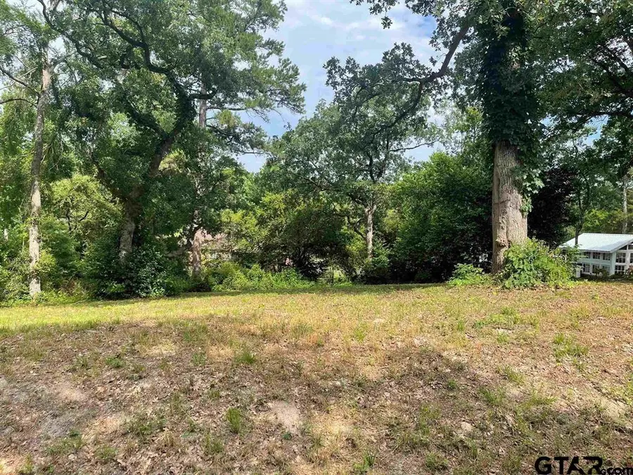 309 Harmony Lane, Hideaway, TX 75771 - Image #2