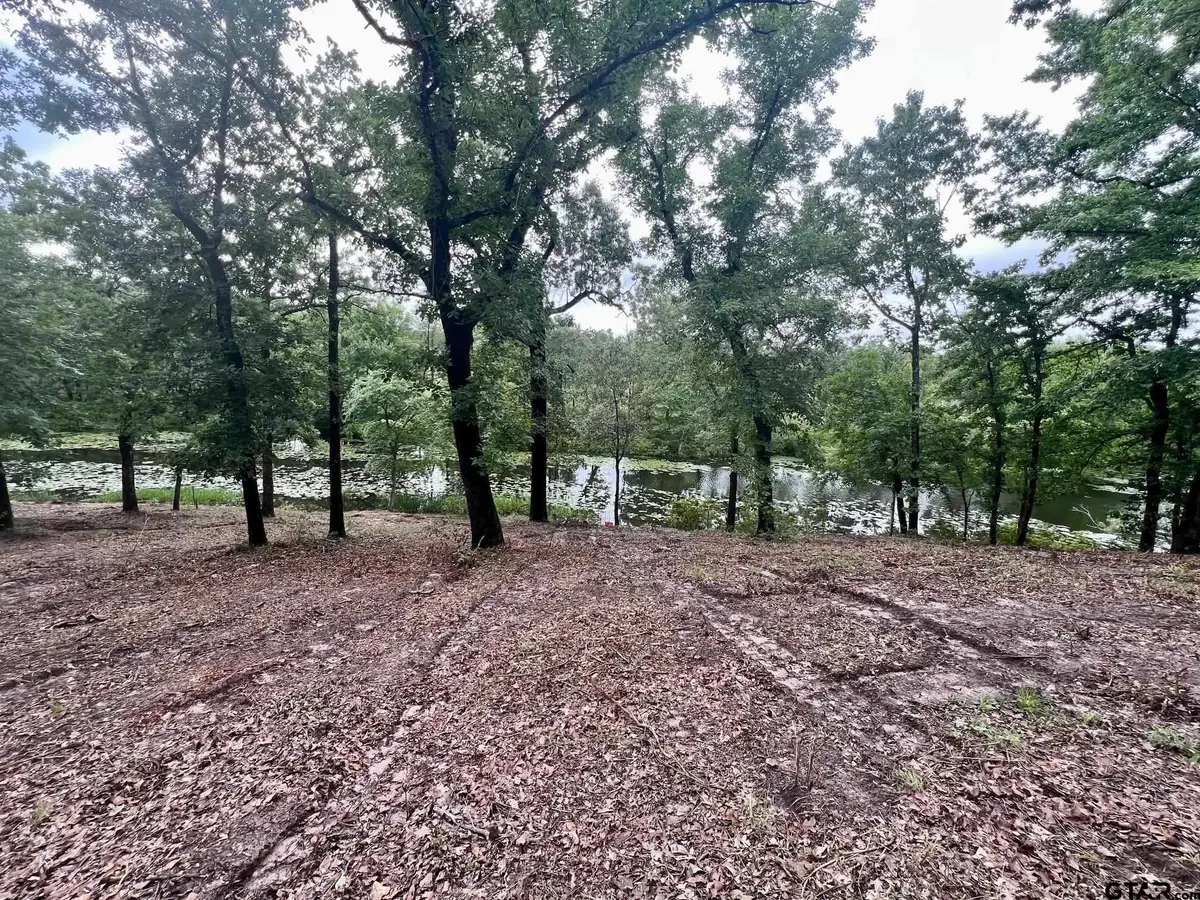 Lot 14 County Road 4801, Athens, TX 75752 - #1