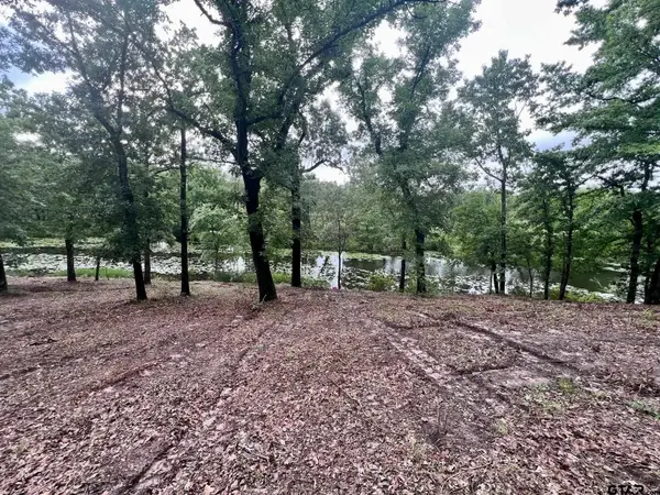 Lot 14 County Road 4801, Athens, TX 75752