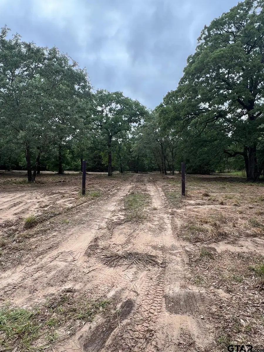 Lot 14 County Road 4801, Athens, TX 75752 - #2