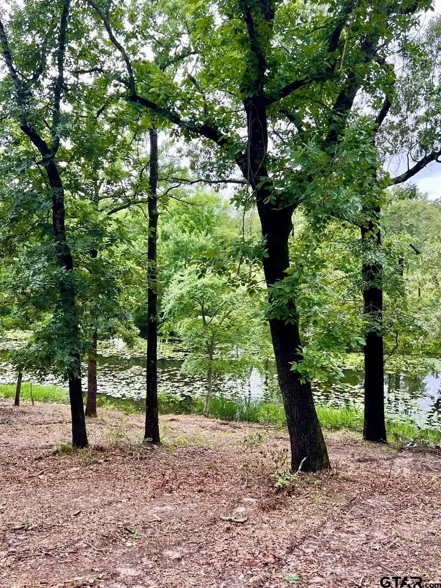 Lot 14 County Road 4801, Athens, TX 75752 - #3