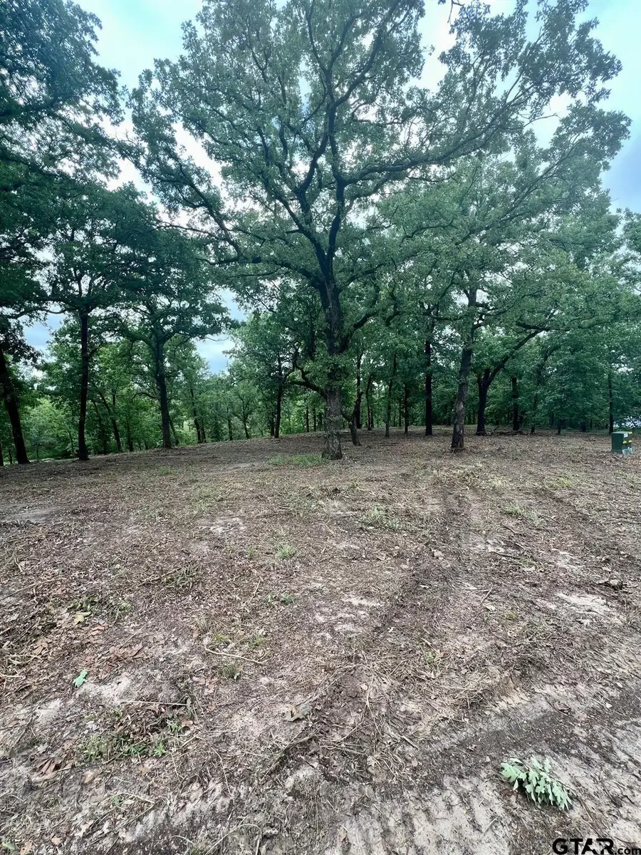 7721 County Road 4801, Athens, TX 75752 - #3