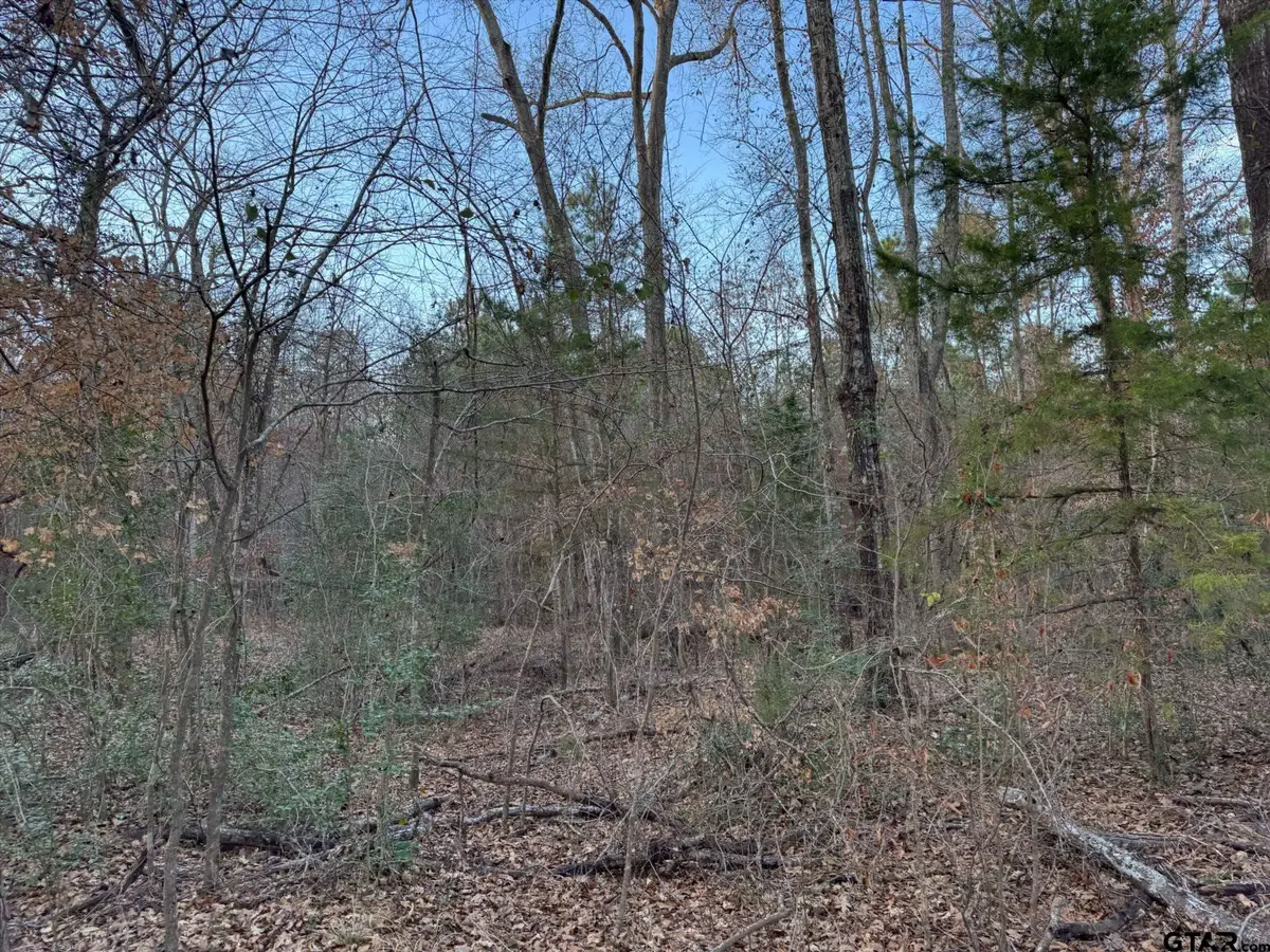 12415 County Road 217, Arp, TX 75750 - Image #1