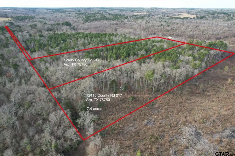 12415 County Road 217, Arp, TX 75750 - Image #3