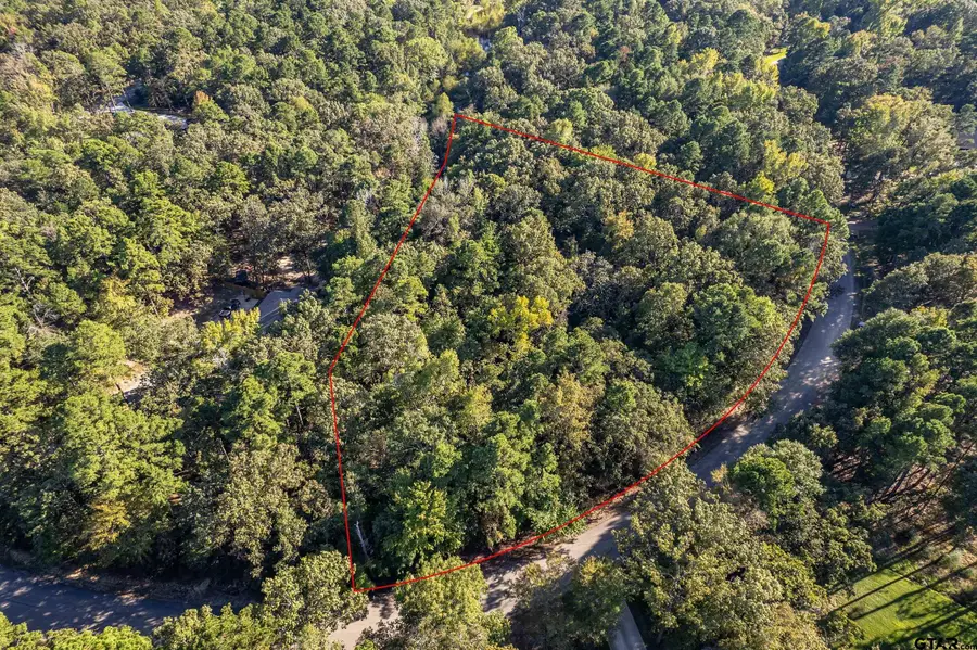 14632 Reserve Ct, Tyler, TX 75707 - #2