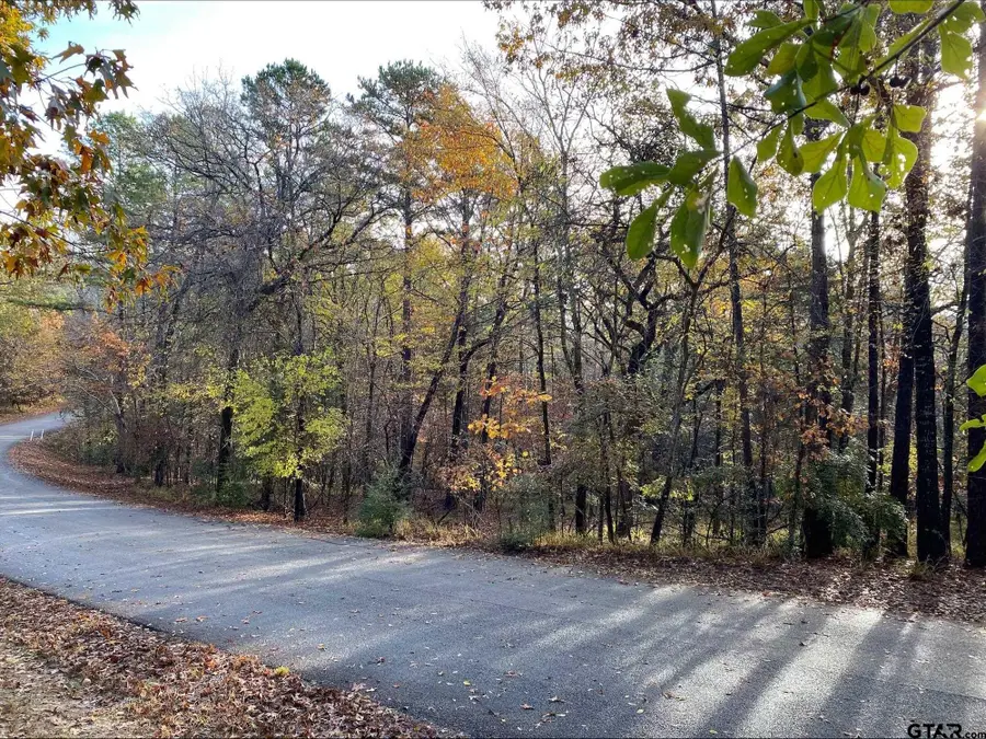 14632 Reserve Ct, Tyler, TX 75707 - #3