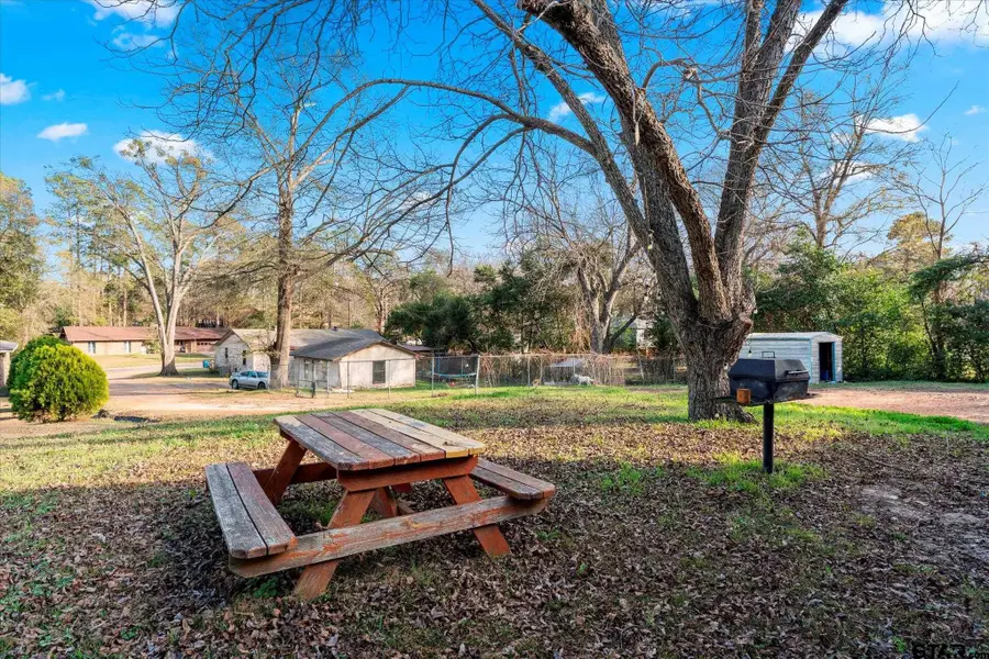 1108 Merritt Ave, Mount Pleasant, TX 75455 - #3