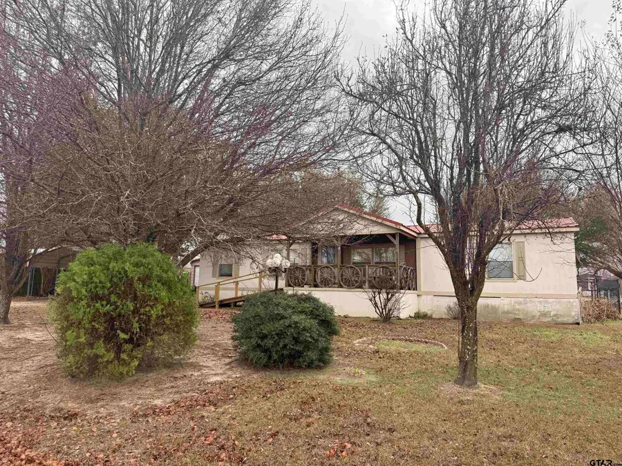 254 Holiday Village Dr, Quitman, TX 75783 - #3