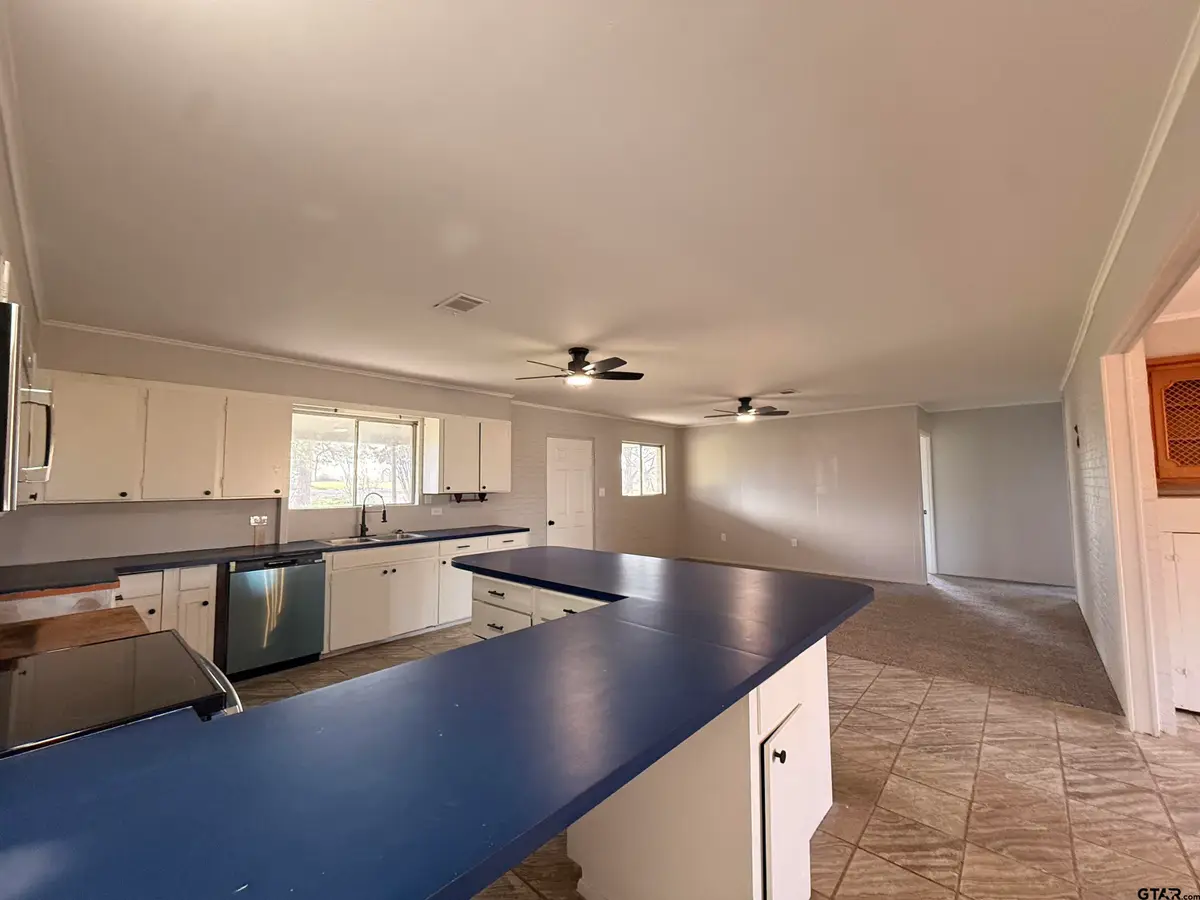 5203 E Us Highway 69, Alba, TX 75410 - #1