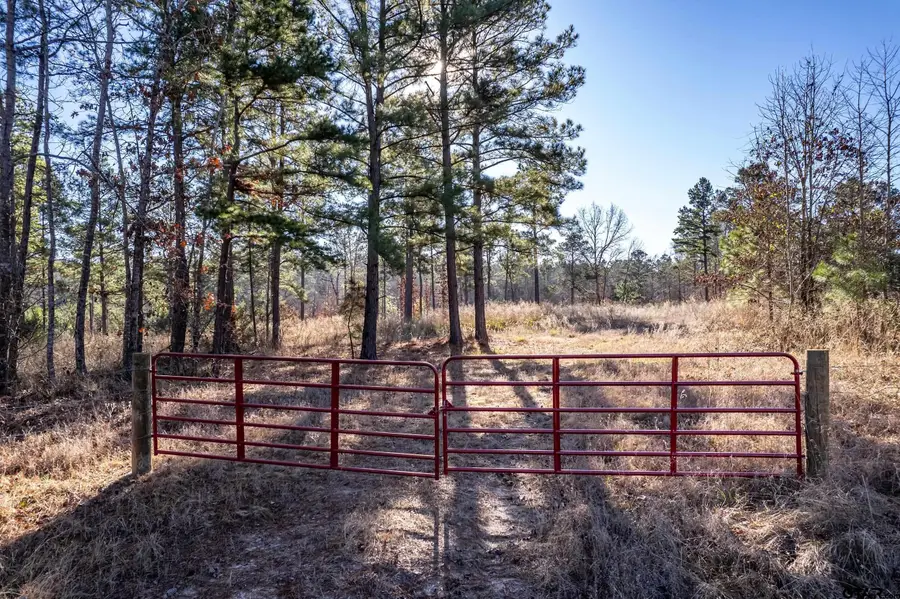 TBD County Road 1231, Palestine, TX 75801 - #2