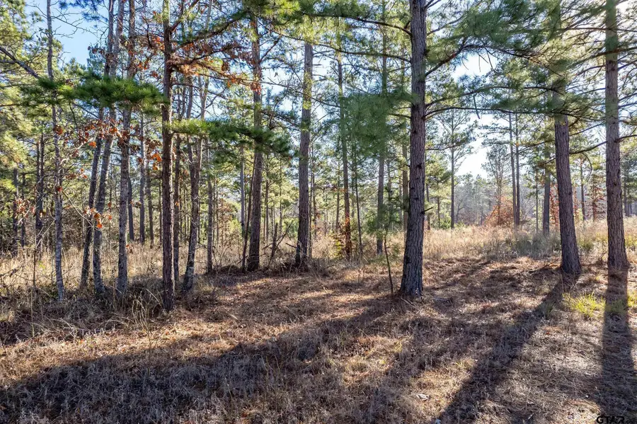 TBD County Road 1231, Palestine, TX 75801 - #3