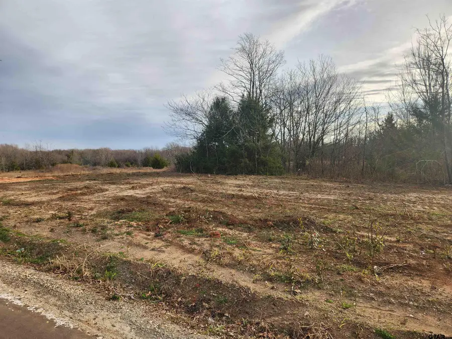 LOT 4 CR 2310, Sulphur Springs, TX 75482 - #2