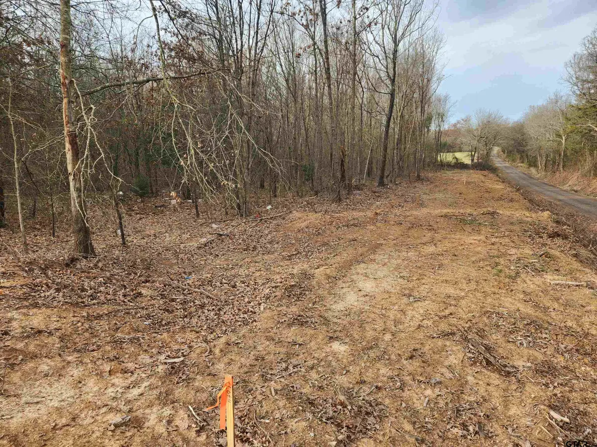 LOT 19 CR 2341, Sulphur Springs, TX 75482 - #1