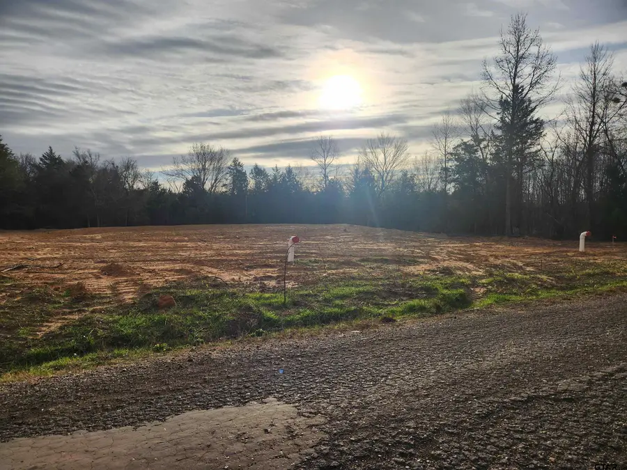 LOT 15 CR 2341, Sulphur Springs, TX 75482 - #2