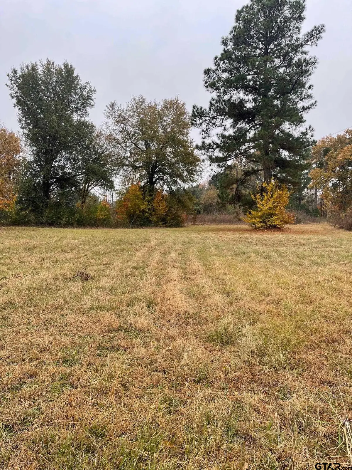 1393 CR 1128, Tyler, TX 75704 - #1