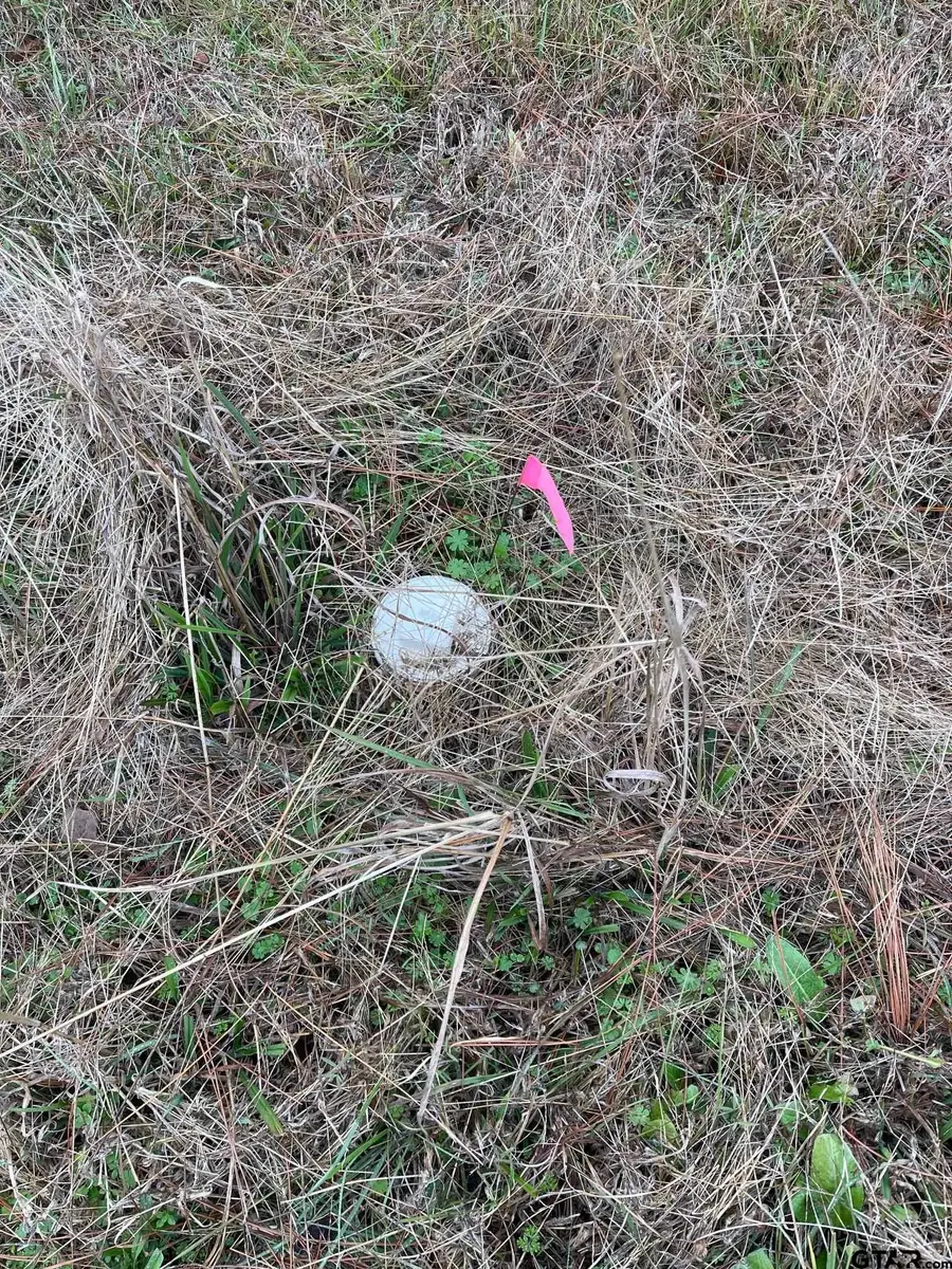 1393 CR 1128, Tyler, TX 75704 - #3