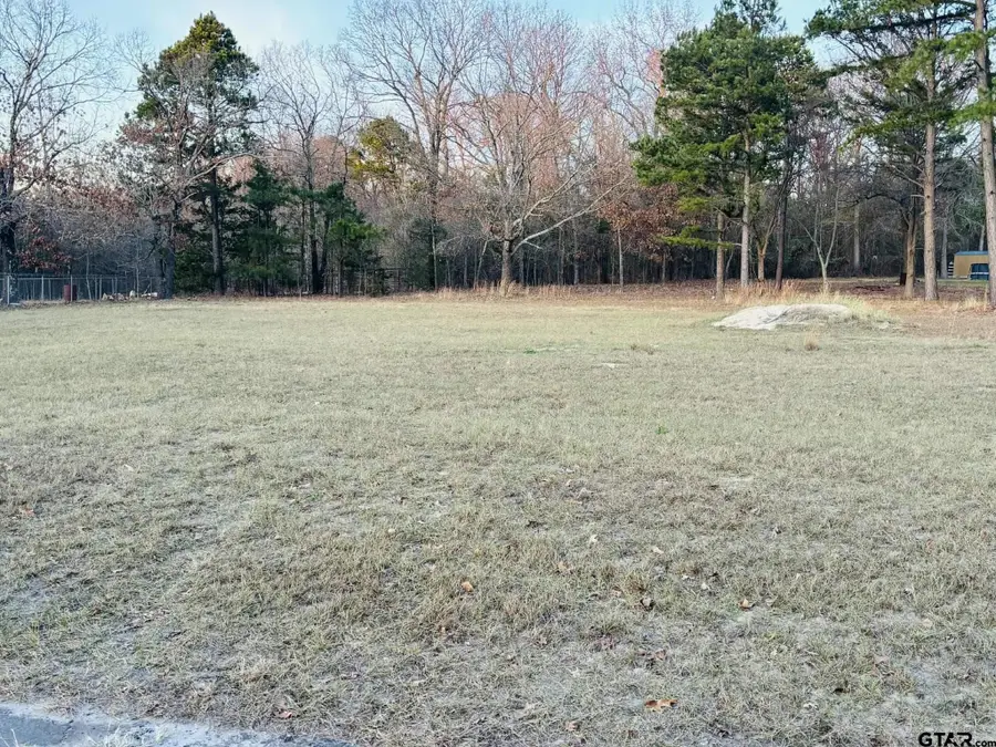 0 CR 2269, Mineola, TX 75773 - #2