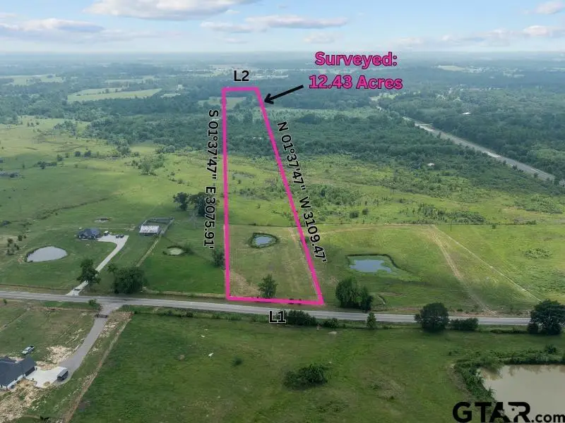 TBD FM 1995, Van, TX 75790 - #2