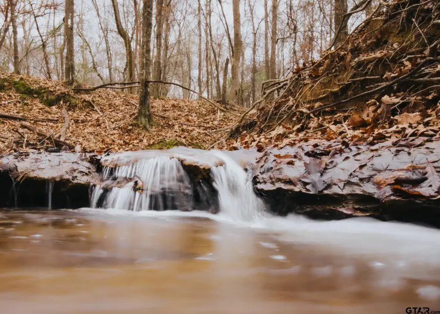 000 Highway 84, Mount Enterprise, TX 75681 - #3