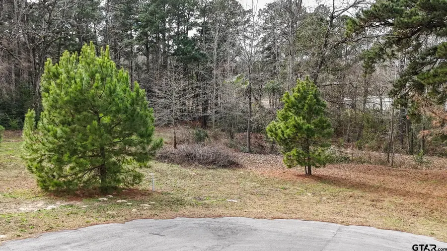 TBD Castleberry RD (Lot 2), Brownsboro, TX 75756 - Image #3