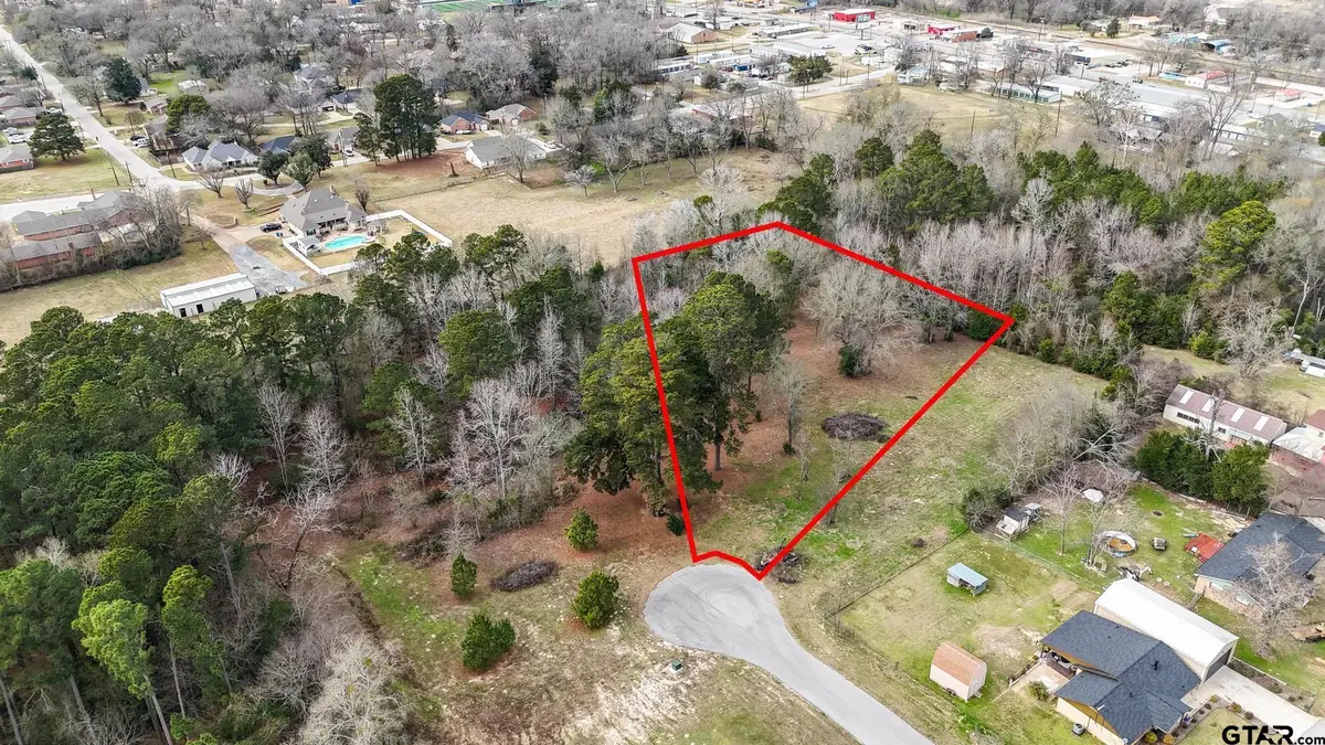 TBD Castleberry Rd (Lot 3), Brownsboro, TX 75756 - Image #1
