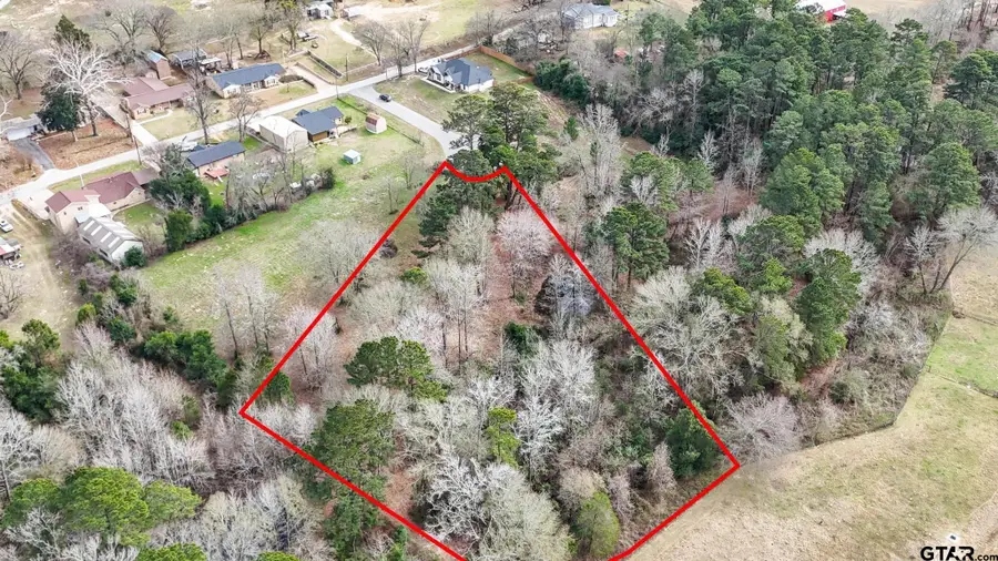 TBD Castleberry Rd (Lot 3), Brownsboro, TX 75756 - Image #2