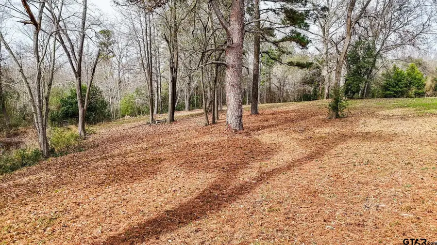 TBD Castleberry Rd (Lot 3), Brownsboro, TX 75756 - Image #3