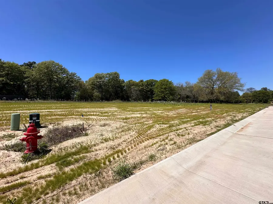 16935 Sawyer Way, Lindale, TX 75771 - #3