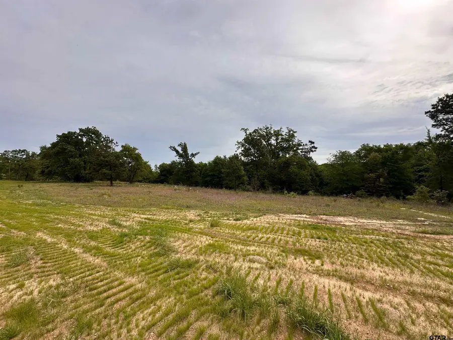 16944 Sawyer Way, Lindale, TX 75771 - #2