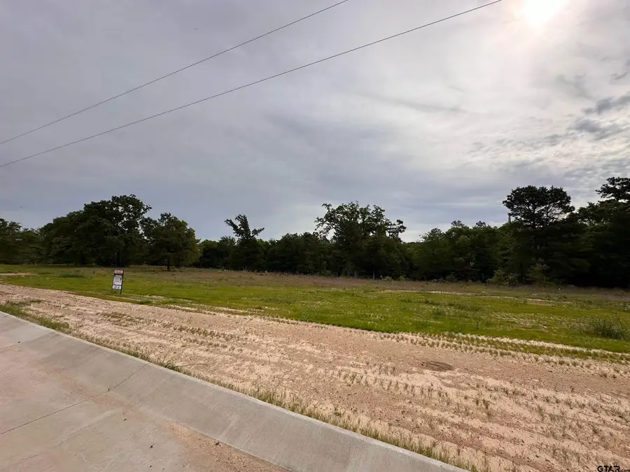 16944 Sawyer Way, Lindale, TX 75771 - #3