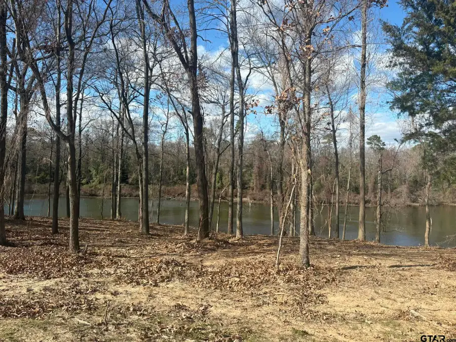 LOT 71 PR 2712, Mount Pleasant, TX 75455 - Image #3