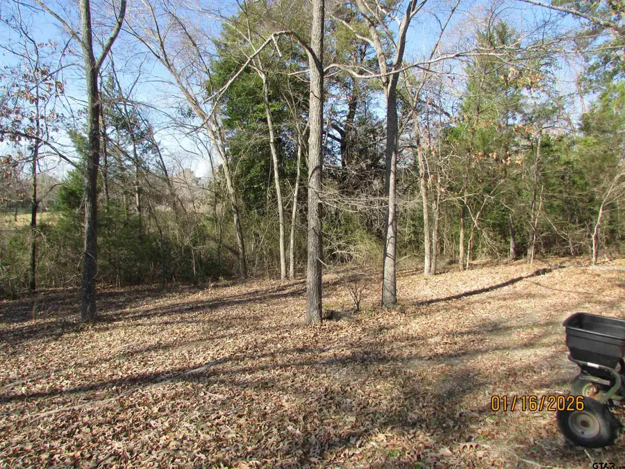 LT 65 E LAKE DRIVE, Murchison, TX 75778 - #2