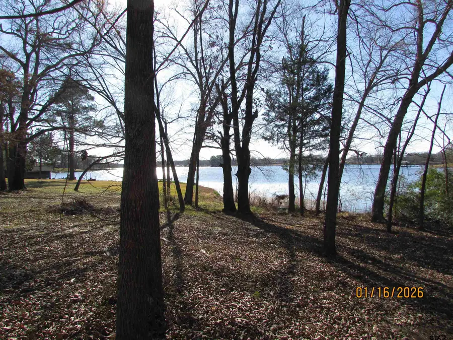 LT 65 E LAKE DRIVE, Murchison, TX 75778 - #3