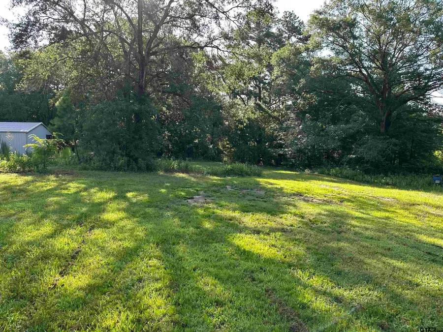 109 Shell St., Overton, TX 75684 - #3