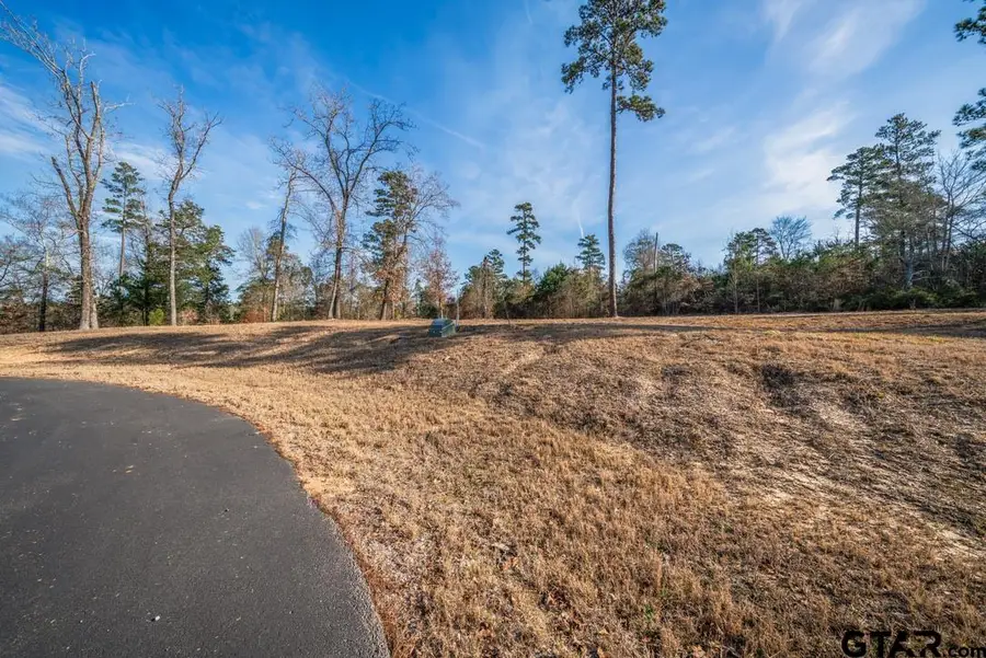 LT 46 Marble Way, Hallsville, TX 75650 - Image #2