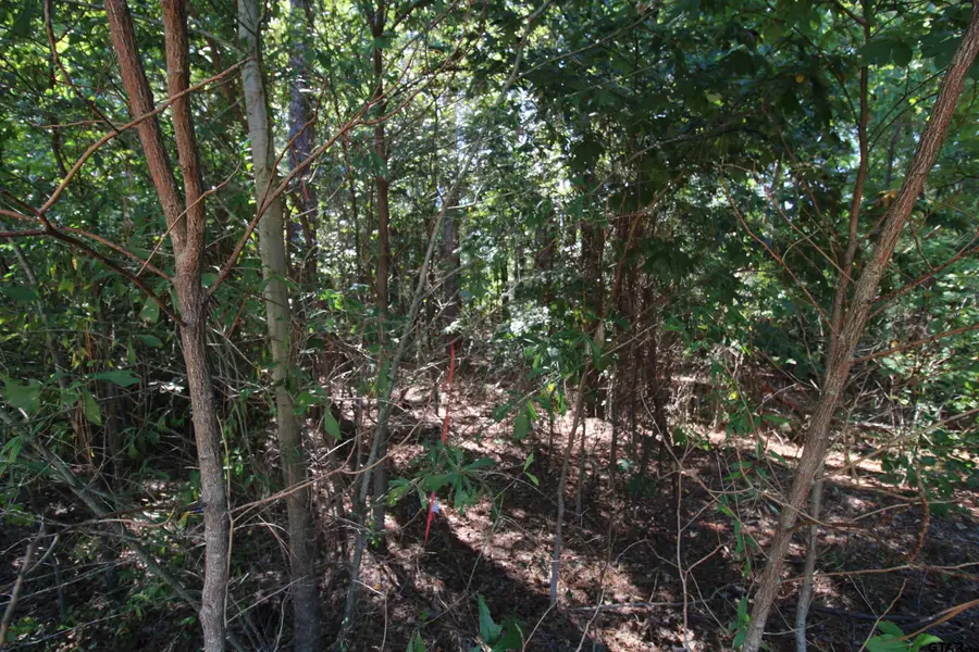 LOT 23 Briar Gove, Murchison, TX 75778 - #3