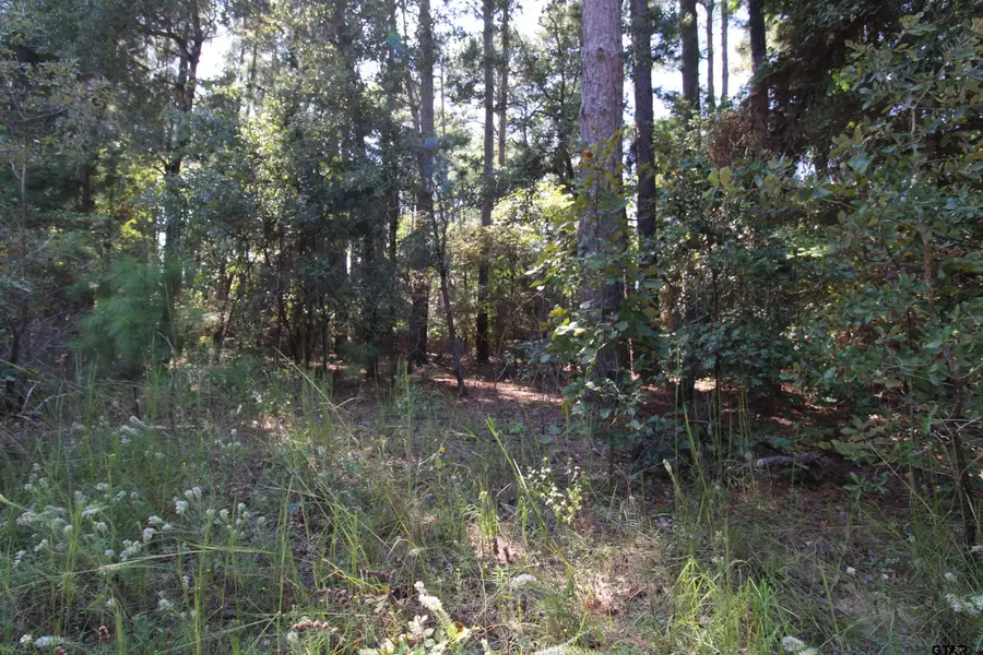 LOT 24 Briar Grove, Murchison, TX 75778 - #2