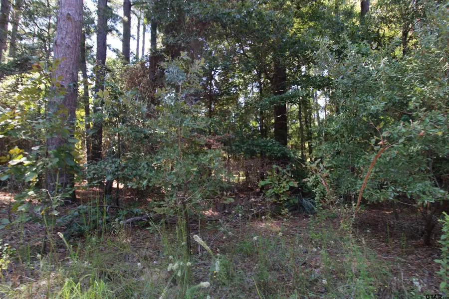 LOT 24 Briar Grove, Murchison, TX 75778 - #3