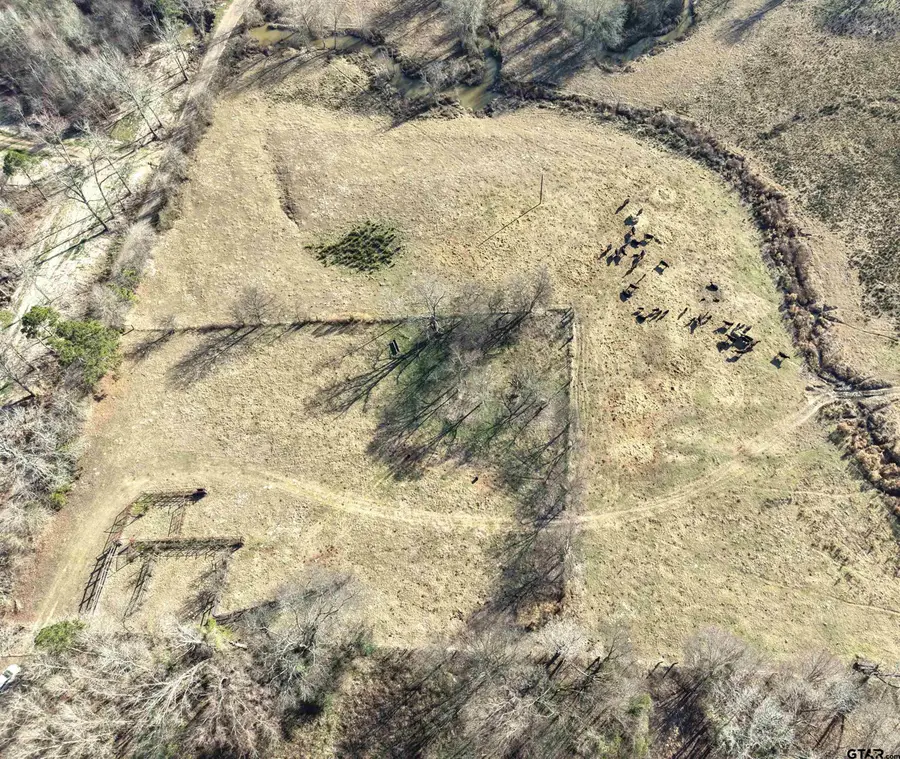 TBD SQUIRREL RD, Pittsburg, TX 75686 - Image #2