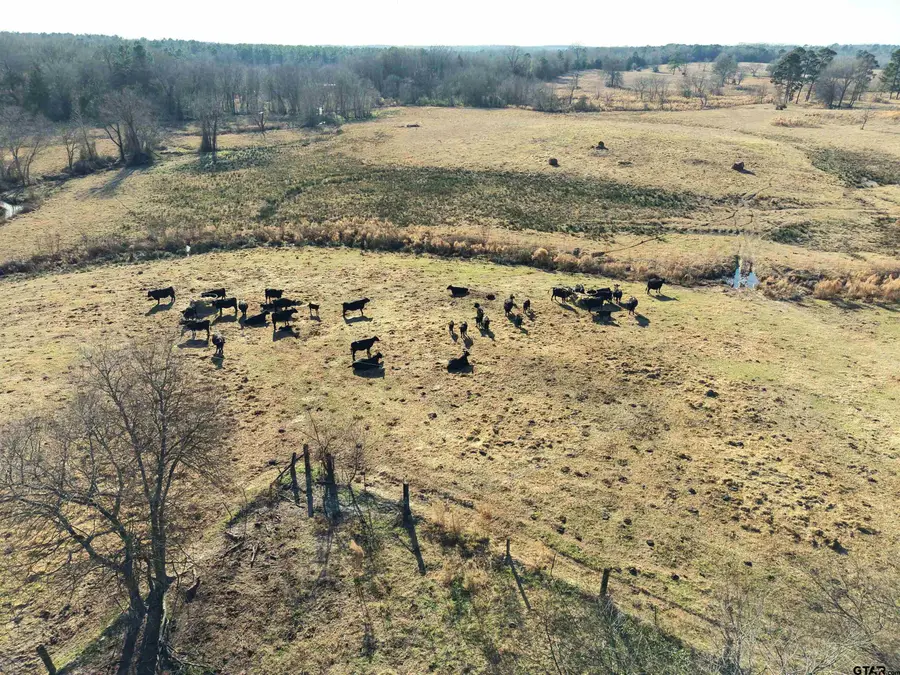 TBD SQUIRREL RD, Pittsburg, TX 75686 - Image #3