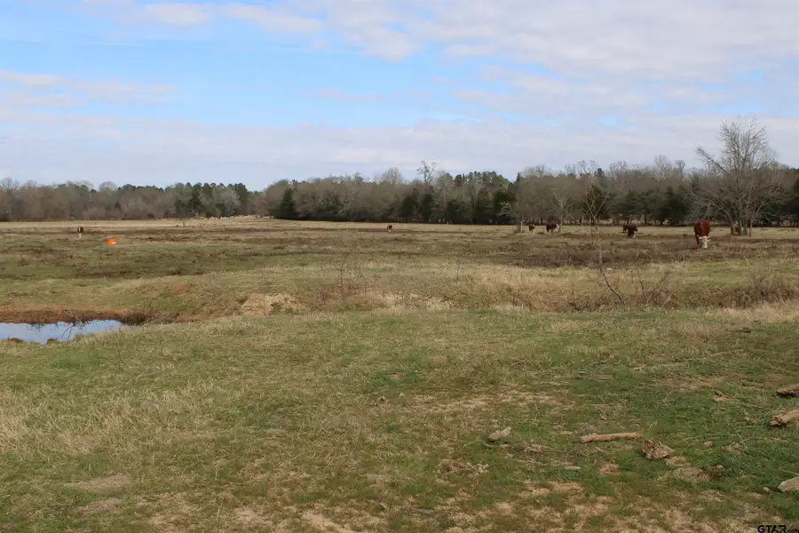 22571 CR 2138, Troup, TX 75789 - #3