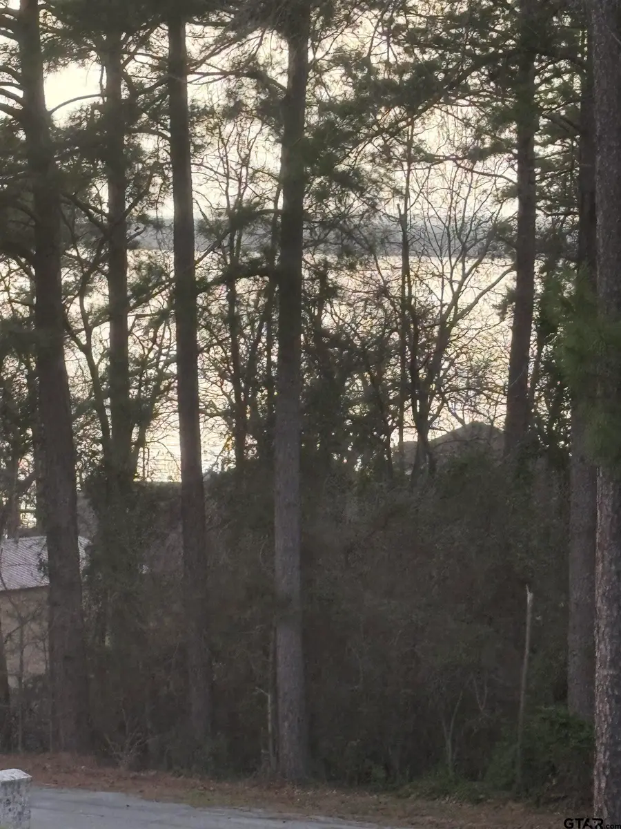 20847 Lakeview, Flint, TX 75762 - Image #2