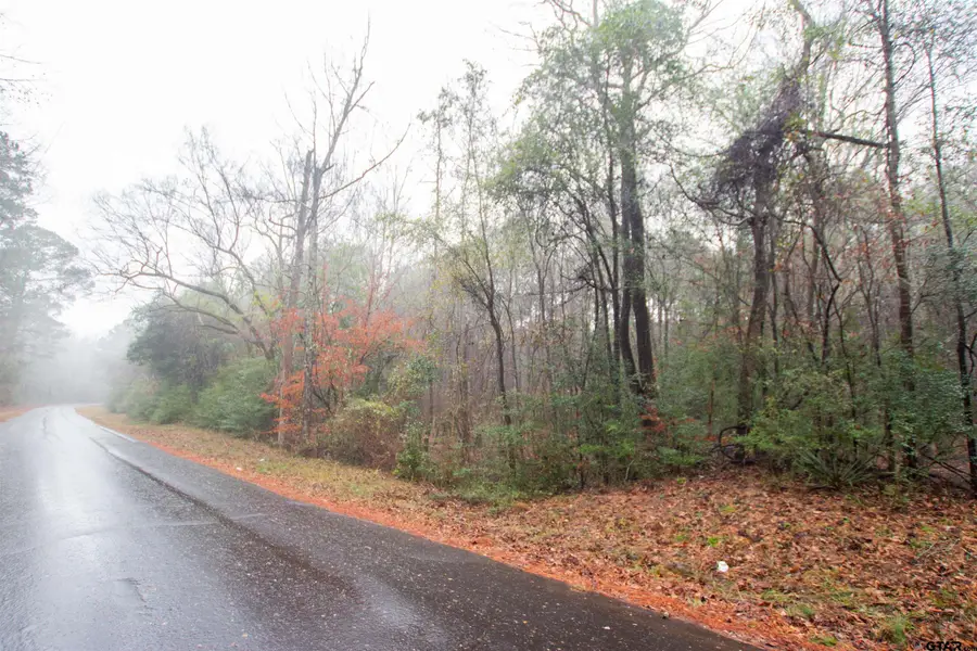 1348 CR 448, Carthage, TX 75633 - #2